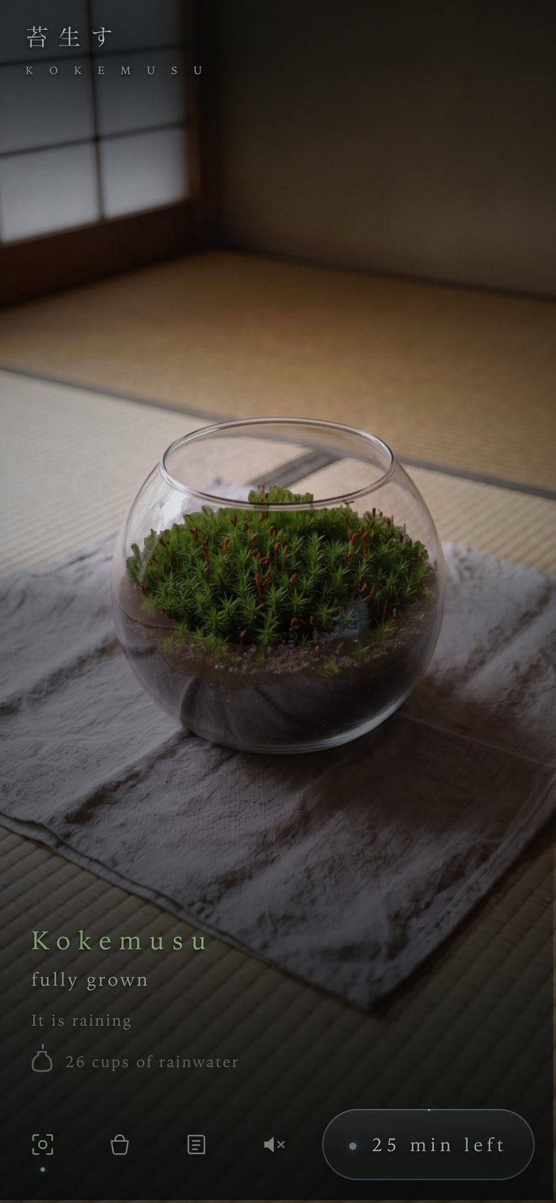 A glass bowl of Sugi-goke on a cloth, seen up close