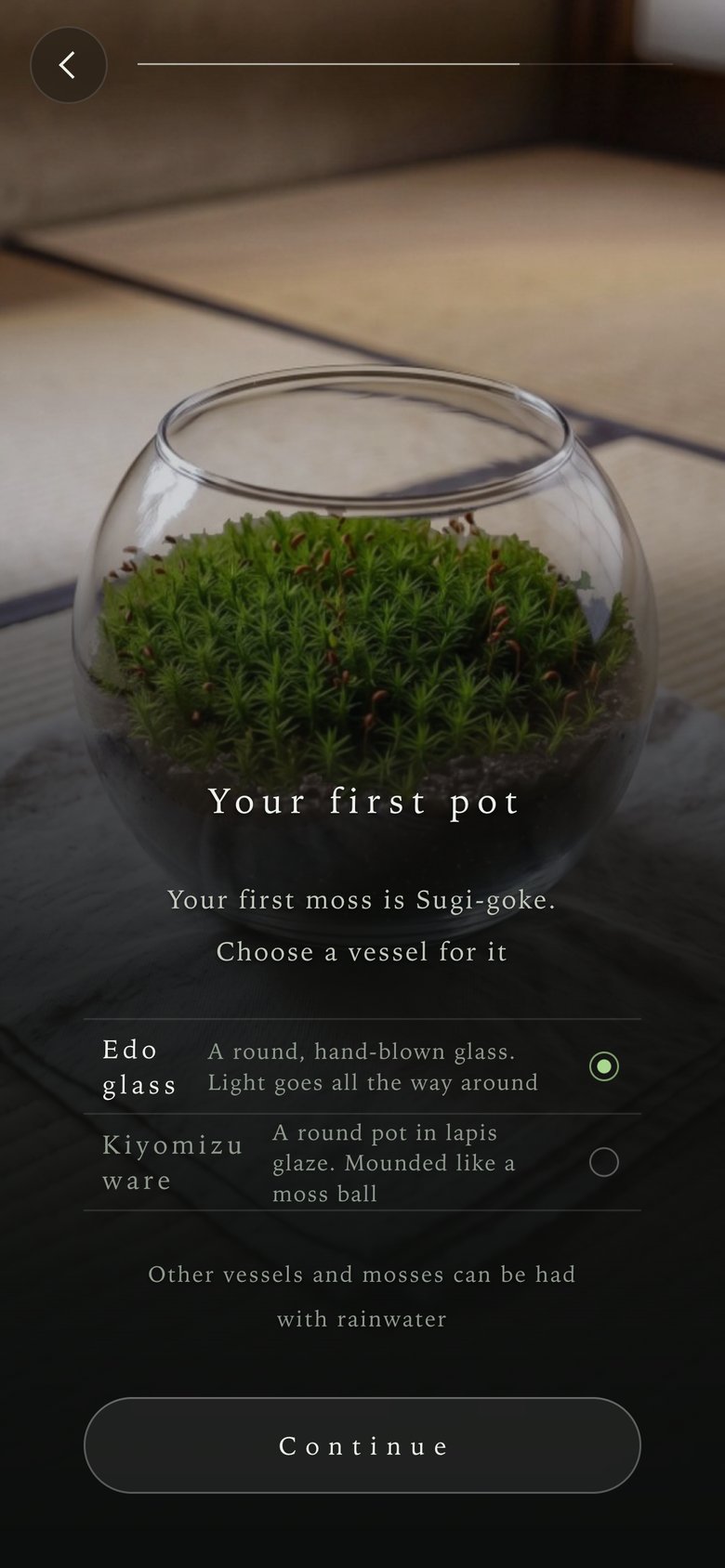 Choosing a vessel for the first moss: Edo glass or Kiyomizu ware